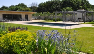 swimming pool courtyard design