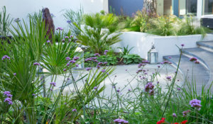 contemporary garden design