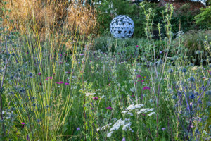 garden planting ideas