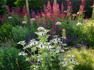 walberswick garden design