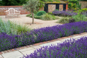 the potager garden design