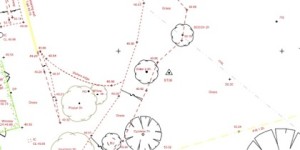 Survey image