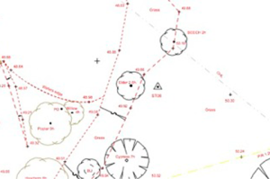 Survey image