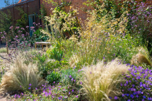 wildlife garden design