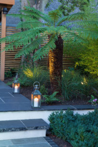 contemporary garden design