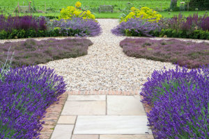 portfolio image of a potager Garden Design