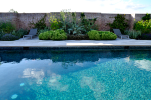 Around the barn side view of swimming pool