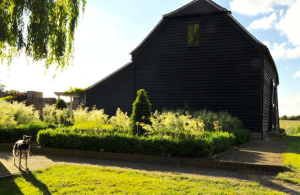 Around the barn garden with large barn and dog