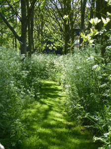 Around the barn garden with green footpath