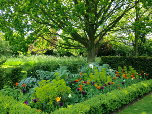 Classic english garden with orange and purple flowers