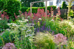 Coastal family retreat flower bush
