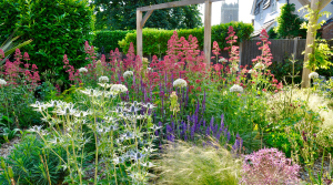 Coastal family retreat flower bush