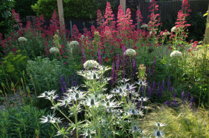 Coastal family retreat flower bush
