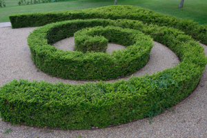 garden planting spirals