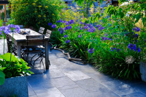 garden planting design