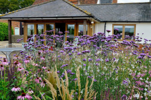 suffolk entertaining garden