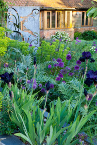 courtyard garden design