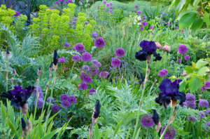 courtyard garden design