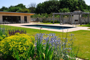swimming pool garden design