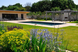 swimming pool garden design in Suffolk