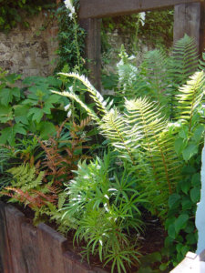 weathered look garden design