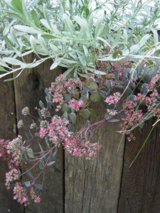 weathered look flowers