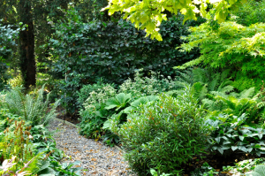 Manor garden with green bushes