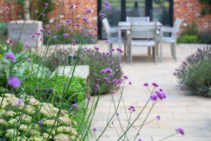 Manor garden with purple flowers