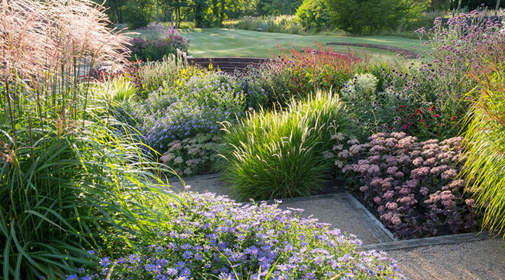 the decorative screen garden design