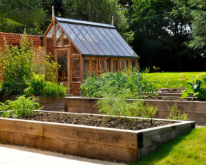 fruit garden plants