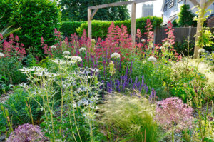 walberswick garden design
