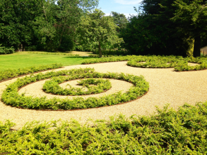 Plant away garden with spiral plant