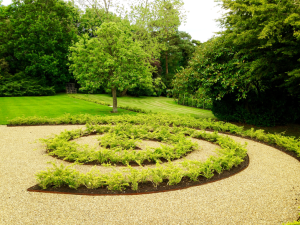 Plant away garden with spiral plant