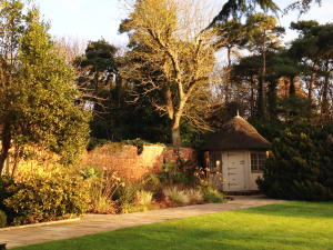 Plant away garden with small hut
