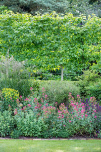 planting garden design