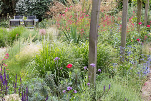 walberswick gardens