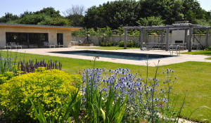 Swimming pool courtyard with blue flowers