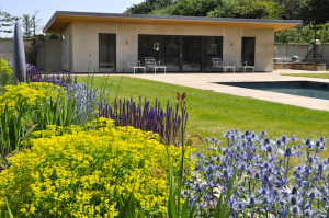 Swimming pool courtyard with yellow flowers