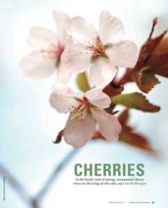 garden design magazine