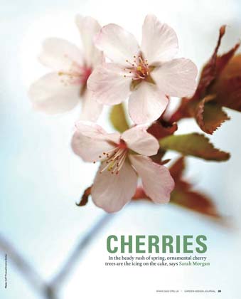 garden design magazine