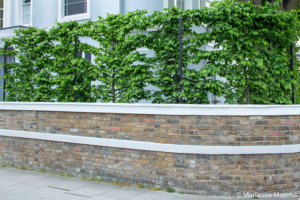 Sinuous garden