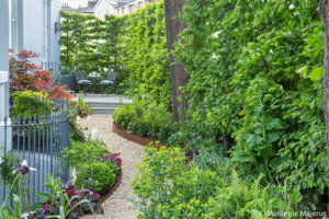 photo of a Sinuous garden design in suffolk