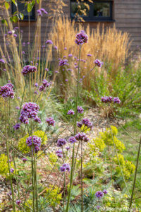 seaside garden