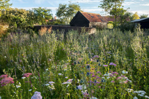 meadow garden design