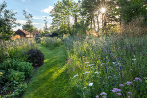 large garden in a meadow in suffolk