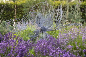 wild garden design