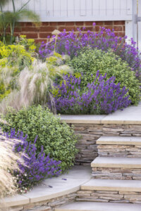 beachfront garden in suffolk
