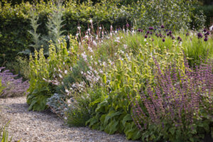 wild flowers in a unique suffolk garden design