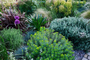 samphire garden design