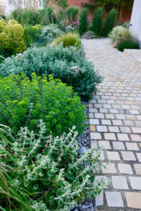 samphire garden design